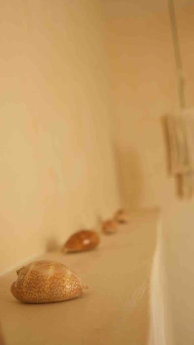 Disfruta En La Casa De Lola / Enjoy At Lolas House Progreso  Exterior foto
